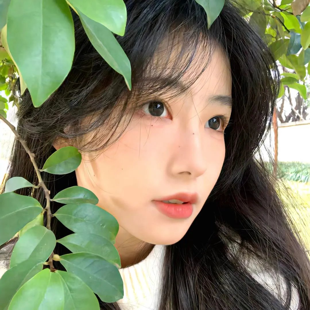 微风吹乱的爱情